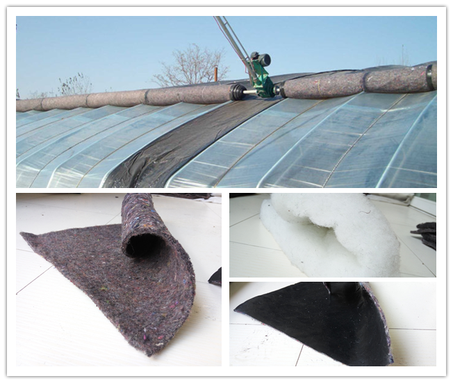 �����ޱ�����ȥ��