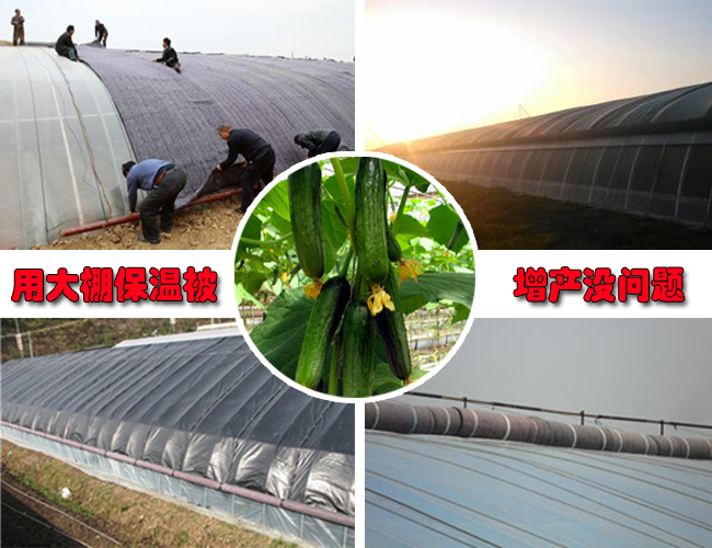 �B(y��ng)ֳ�����ޱ��������bҕ�l