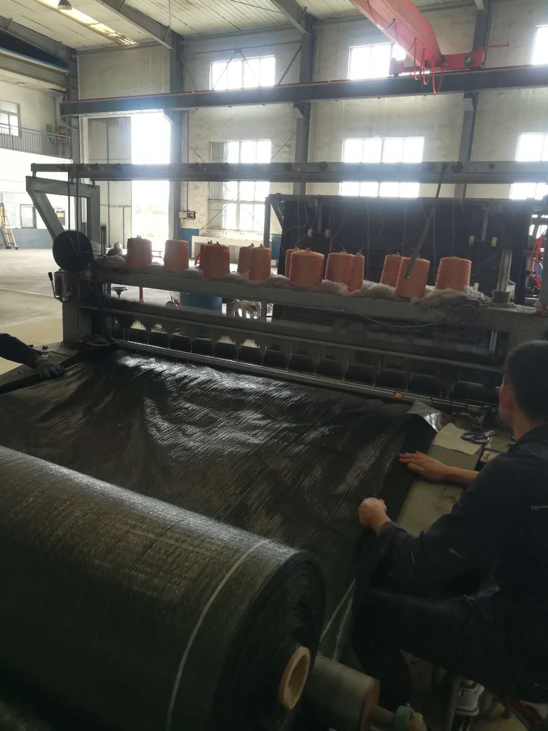 ����ѩ���ﱣ���ޱ�